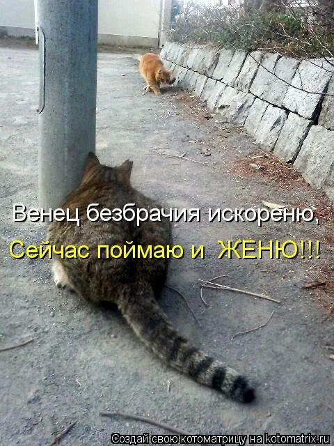 щас поймаю. словил кайф. щас поймаю. щас поймаю. беды с башкой.