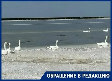 Баскунчак 2024