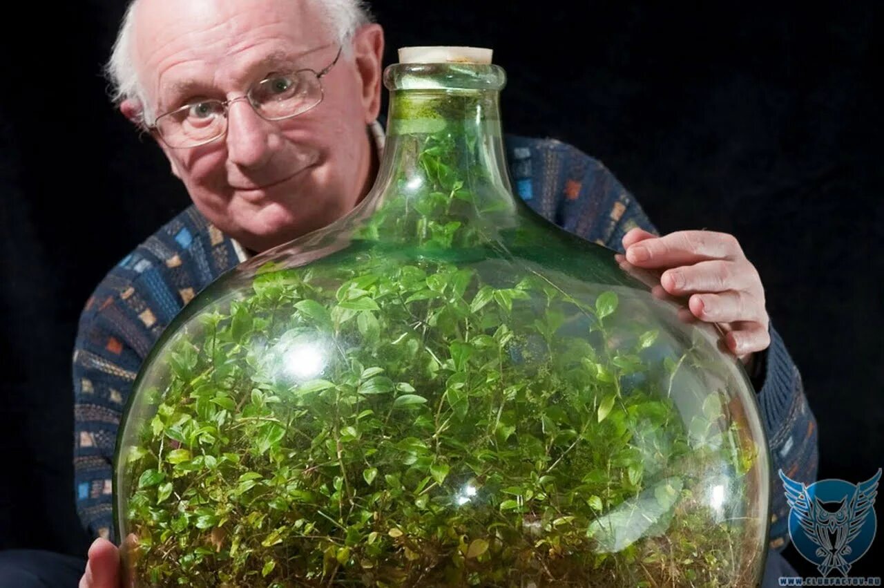 Замкнутый сосуд. Топология бутылка клейна. С хаоса к порядку в неживой природе. Вечный флорариум замкнутая экосистема. Замкнутая экосистема дэвида латимера.