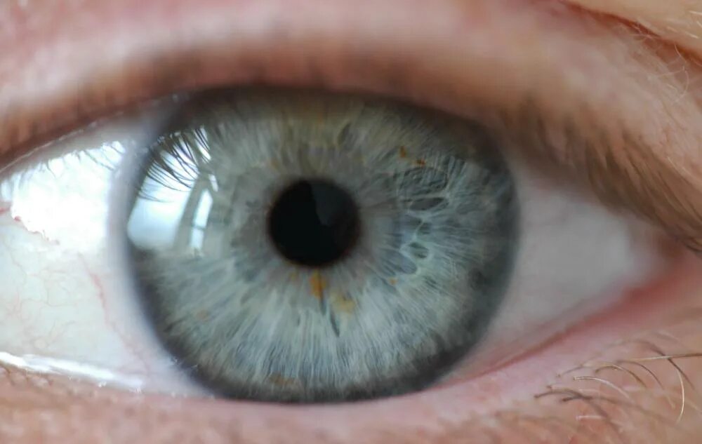Fixed pupils. Фото зеленый глаз под мдма. slitted pupils.
