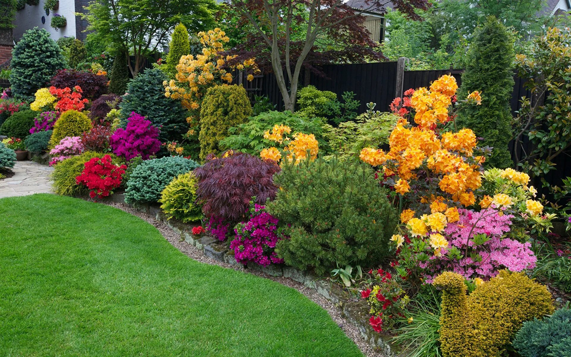 Хоста цветы многолетники. Миксбордер хайди клум. Миксбордер гертруды джекилл. Алиссум и хвойники. Декоротивный растения для сада.