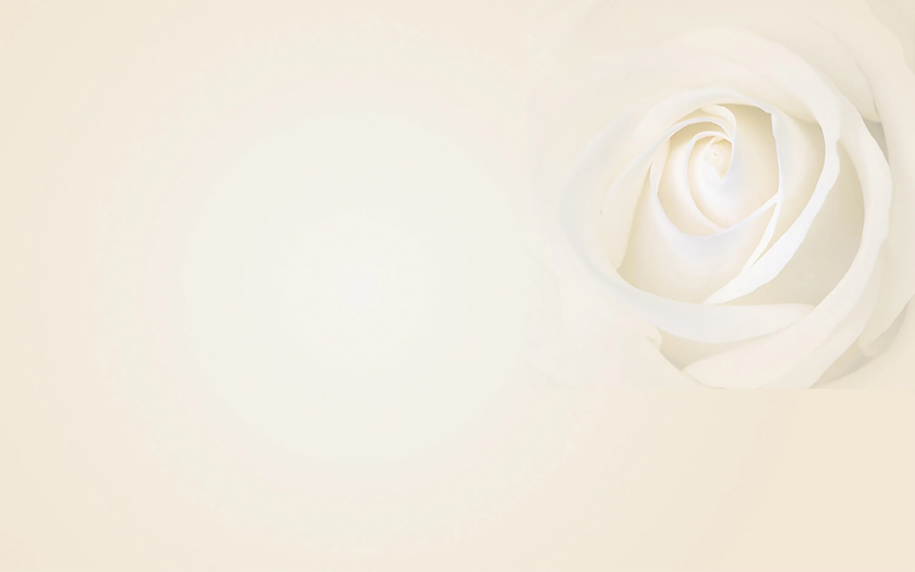 Фон молочного цвета. Кремовый фон. Фон молочного цвета. Молочно-белый цвет. Фон ткань.