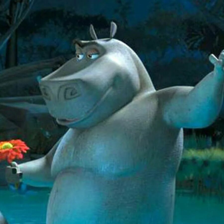 Бегемот мото мото из мадагаскара. Мото мото из мадагаскара. Мото мото из мадагаскара. Мото мото из мадагаскара. Мота мота из мадагаскара.