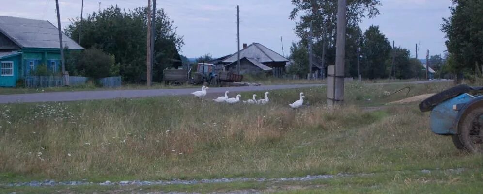 Погода тины красноярского. Село Соколовка Нижнеингашского района. Красноярский край село Соколовка. Деревня Соколовка ИНГАШСКИЙ район. Село Соколовка Нижнеингашского района Красноярского края.