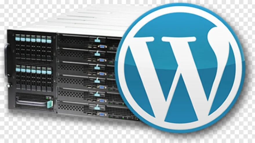 WORDPRESS hosting. Wp host. WORDPRESS logo. WEBX. Wordpress host