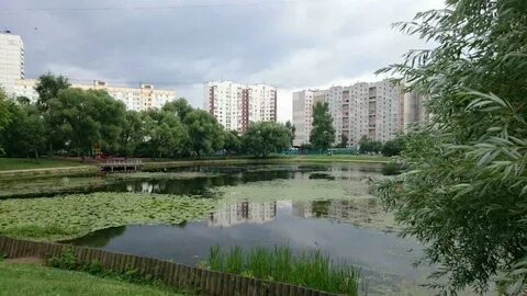 Южное медведково москва