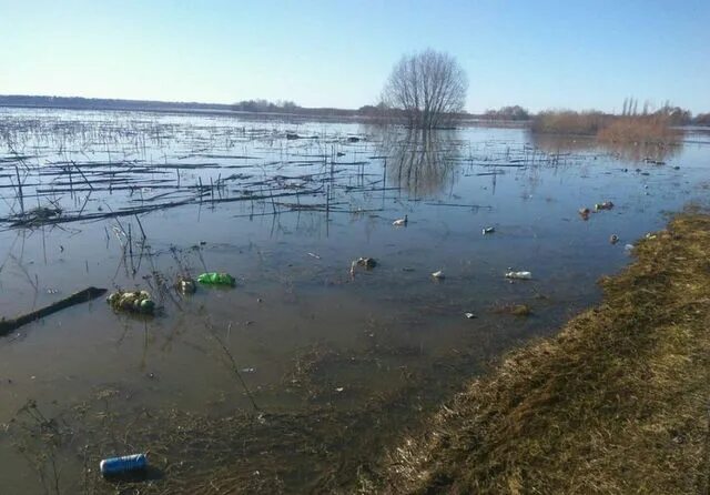 Река дон разлилась. Река дон новочеркасск. Разлив дона в 90 годах. Река обша в разливе. Разлив дона.