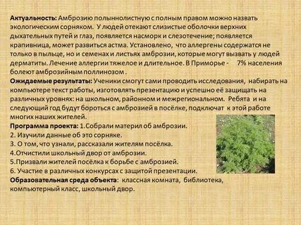 Экологические сорняки