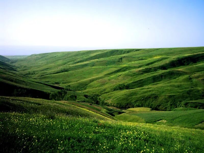 Равнина Сунляо. Равнина фото. Низменные равнины Китая. Зеленые равнины фото.