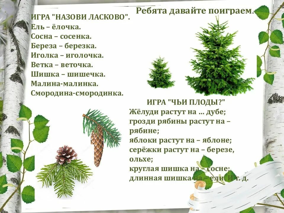 Занятия по развитию речи деревья. Презентация на тему деревья кустарники. деревья и кустарники средняя группа. деревья кустарники конспект занятия. лексическая тема лес.