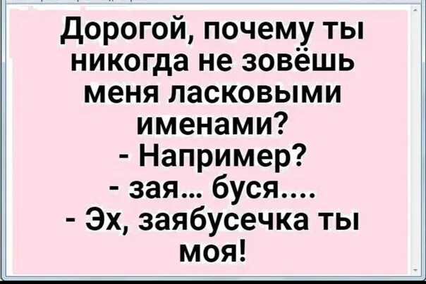 Зая бусечка моя. Заябусечка ты моя анекдот. Зая Буся анекдот. Заябусечка прикол.