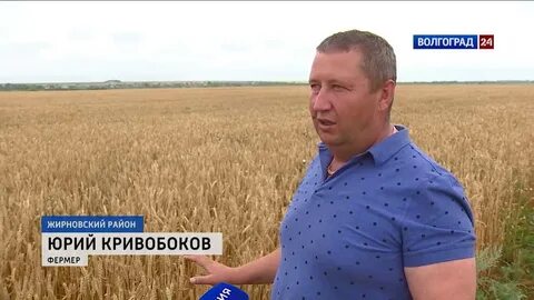 Финансирование волгоградская область жирновский