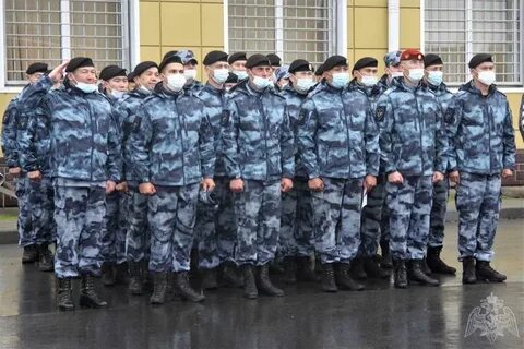 Омон 4
