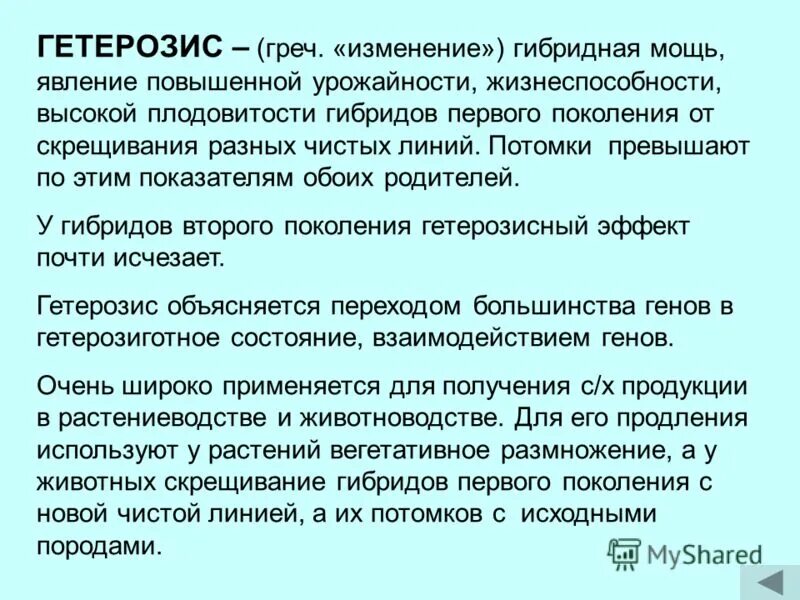 Чистая линия это потомство. Эффект гетерозиса. Гетерозис гибридная мощь. Явление гетерозиса. Гетерозис это в биологии.