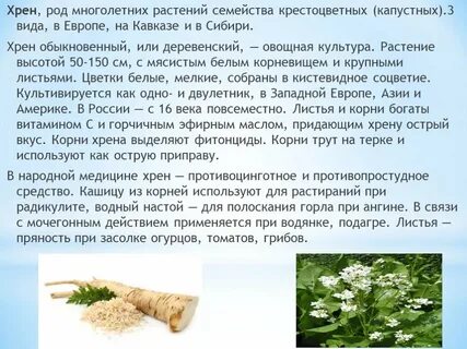 Народное лечение хреном