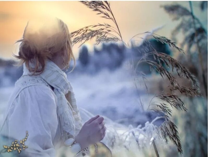 Красивые цитаты. Убитых словом добивают молчанием уильям шекспир. Грубостью своих мыслей и слов вновь. Цитаты про грубость. Я живу душой наизнанку не боясь.