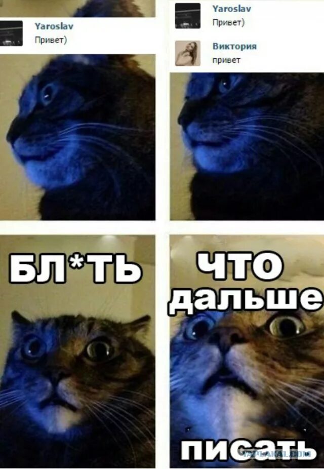 Девочка написала привет. Привет что дальше писать. привет и что дальше. что дальше писать. мем а что дальше писать.
