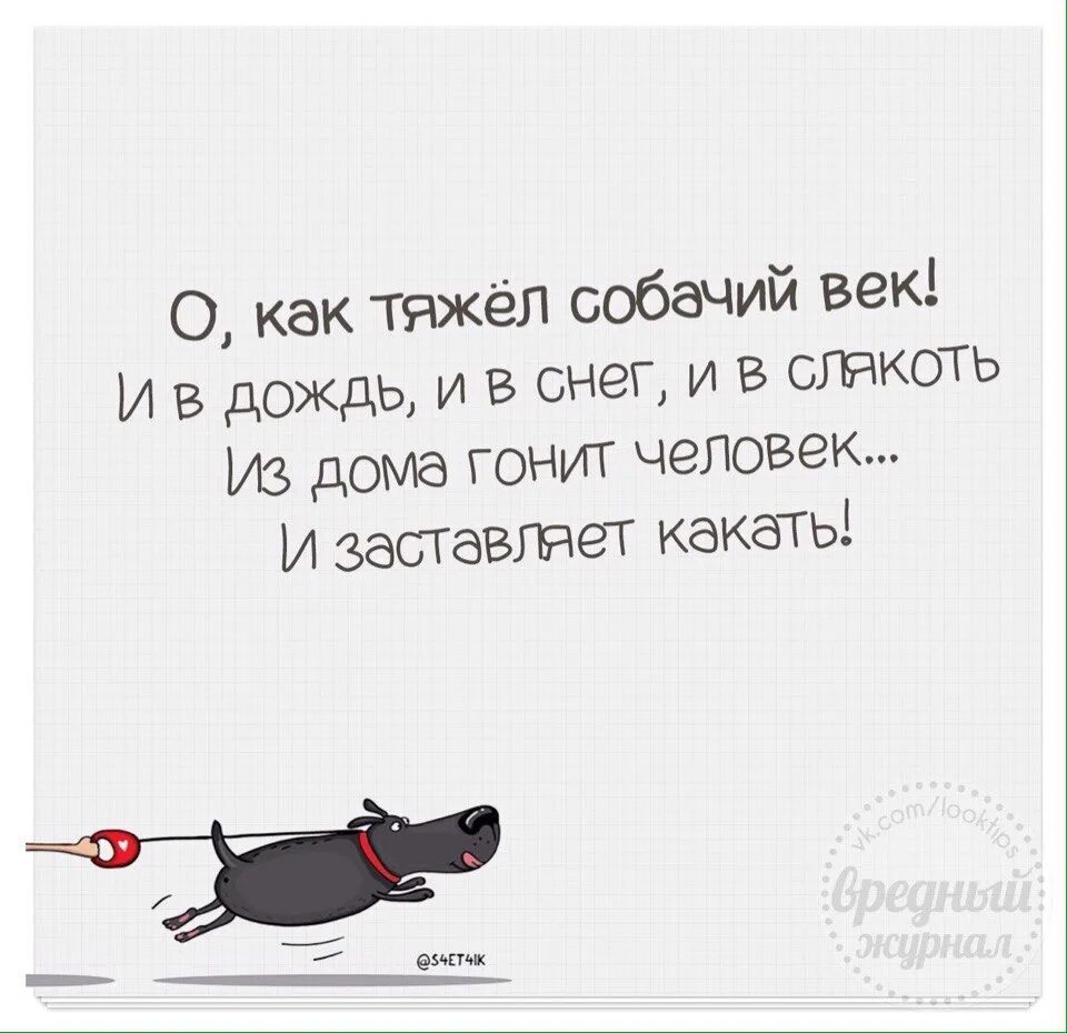 Что то он гонит