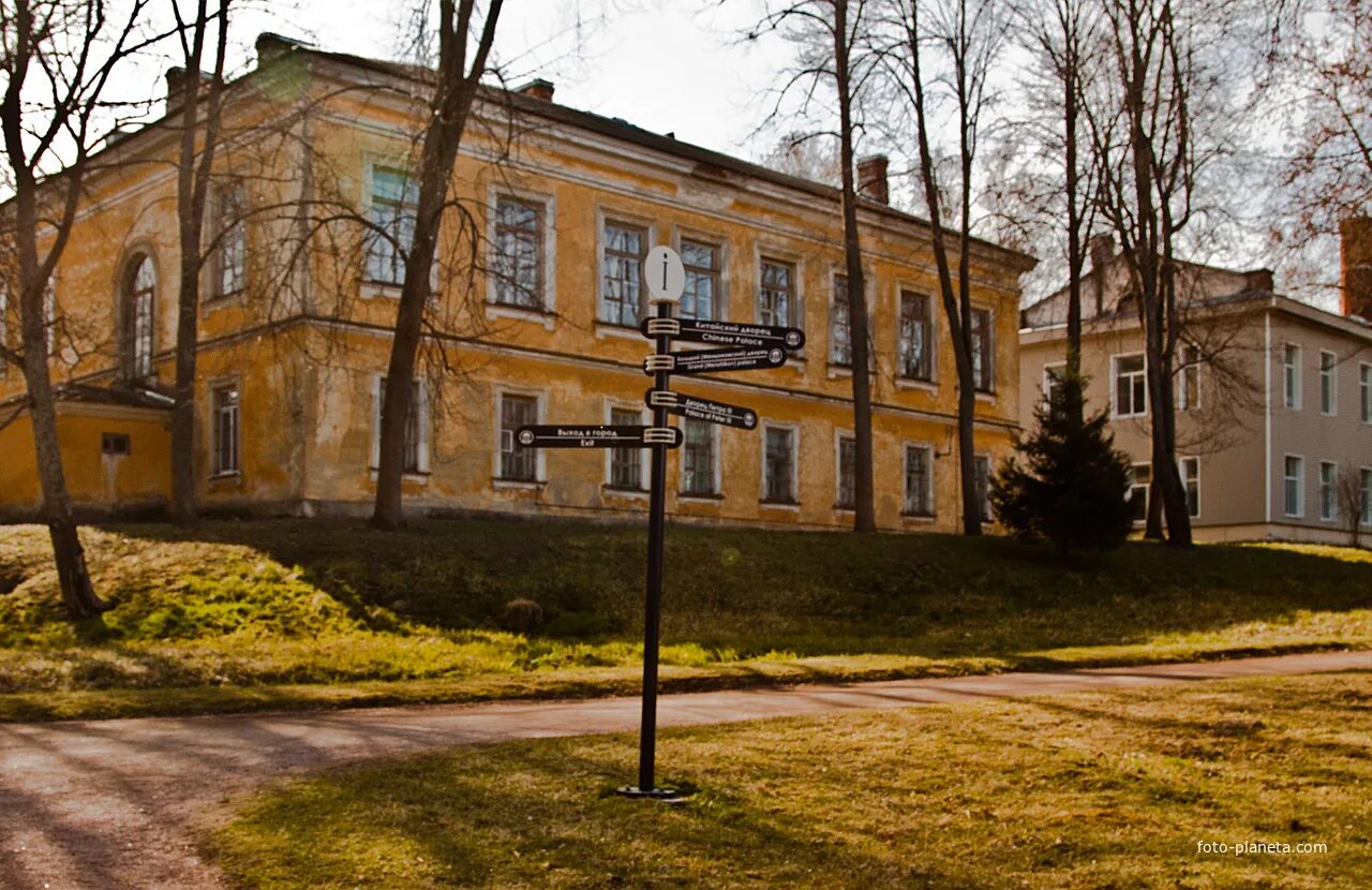 Школа г ломоносов. Петергоф роддом. Еленинская больница. Роддом в Ломоносове. Старый родильный дом Петродворце.