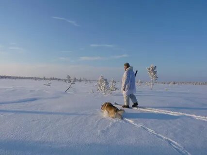 Охотясь зимой