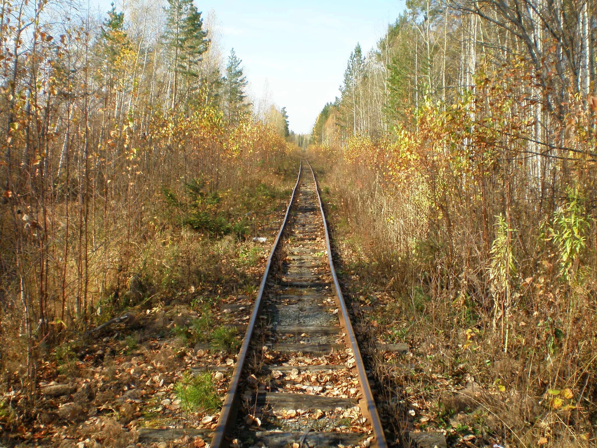 Узкоколейка алапаевск. Верхняя синячиха узкоколейка. Алапаевск нижний тагил трасса. Алапаевск 2. Узкоколейка алапаевск.
