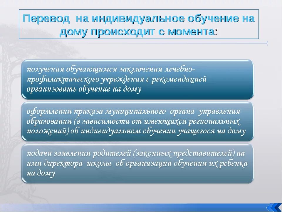 Домашнее обучение в школе по желанию родителей. Как перевести ребёнка на домашнее обучение. Как оформить индивидуальное обучение в школе. Какие документы нужны для домашнего обучения ребенка. Как перевести ребенка на индивидуальное обучение.