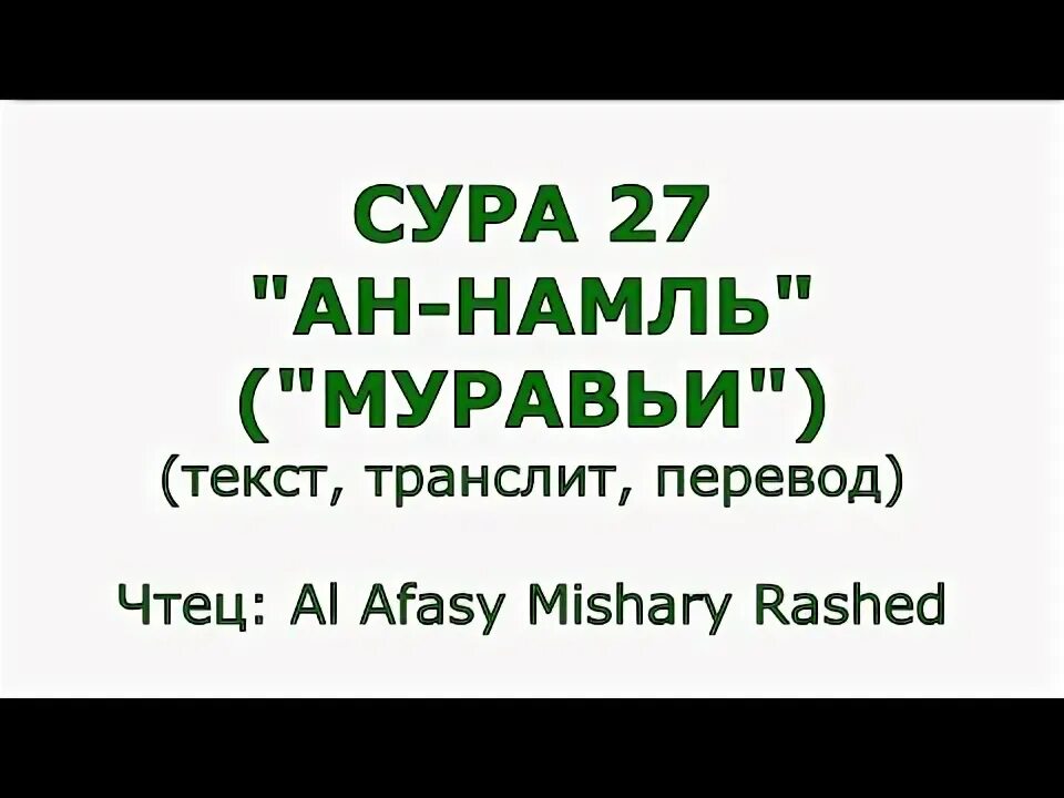 Сура муравьи. Сура 27: «АН-Намль» («муравьи»).