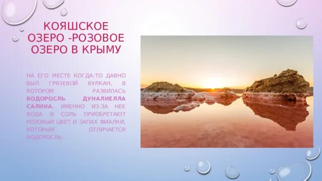 Розовые озера в Крыму 2023 Кояшское озеро и озеро Сасык-Сиваш где находятся, как