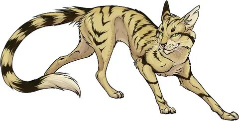 Cats long tails