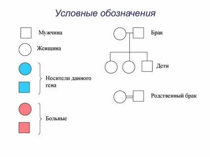 Что означает нерегулярный