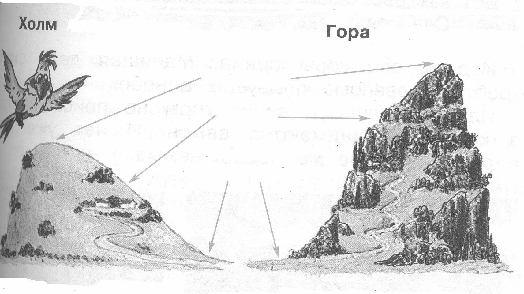 Подпиши части горы. Части холма и горы. Схема горы. Части горы схема.