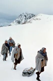 Выжить 1992