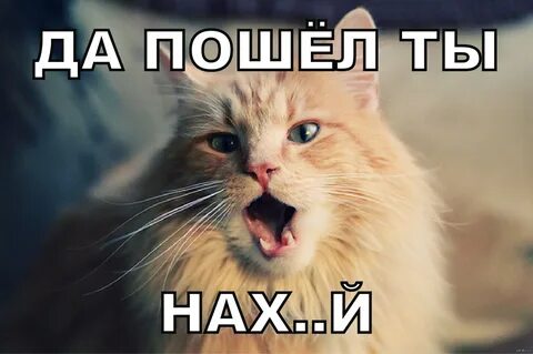 Мууур 💞