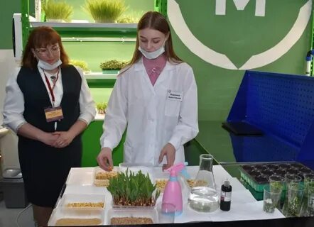 Сайт ракитянского техникума