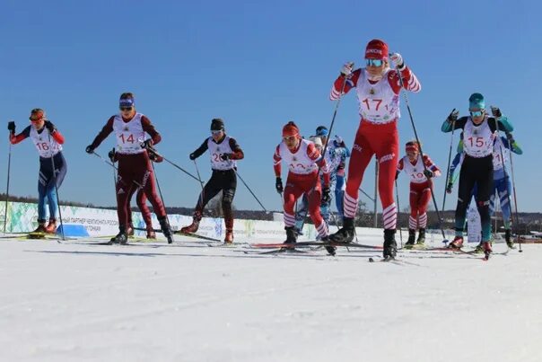 Чемпионат россии в малиновке