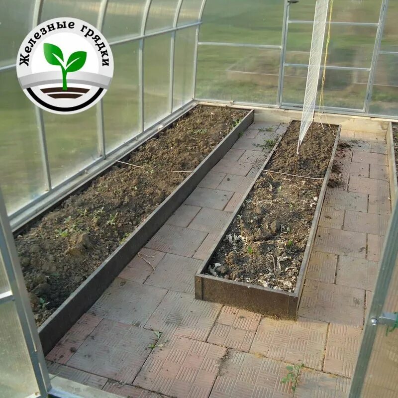 Грядки в теплице 3 на 6. Грядки в теплицу 3 на 4. Грядки в теплице. Теплица внутри. Примерная площадь участка внутри теплицы.