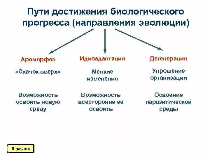 Проверочная направления эволюции. Основные пути достижения биологического прогресса. Биологический Прогресс пути достижения биологического прогресса. Пути достижения биологического прогресса ароморфоз. Пути достижения биологического прогресса таблица.