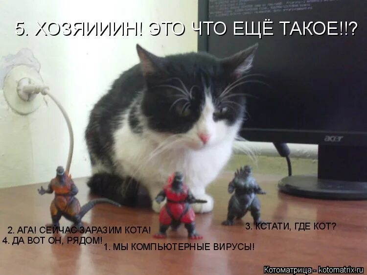 Это лучшие годы твоей жизни. Добрая котоматрица. Чтобы любить человека не обязательно. Где кстати живешь. Пупупупу мем.