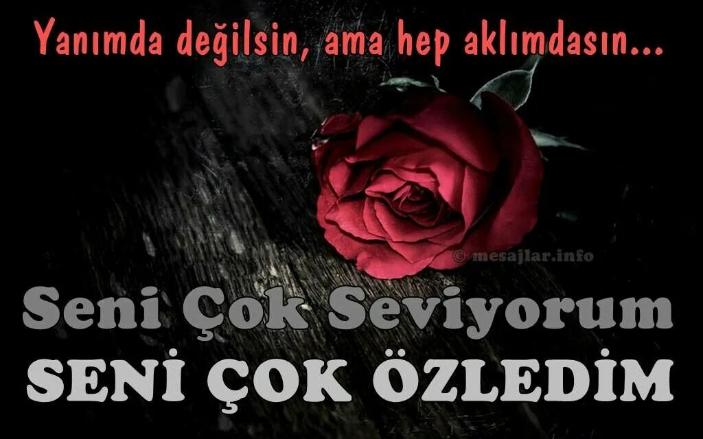 Сени чок севдим. Любовь на турецком языке. Sinem seni seviyorum перевод на русский. Что такое ашкым по турецки. Севиёрум сени перевод.