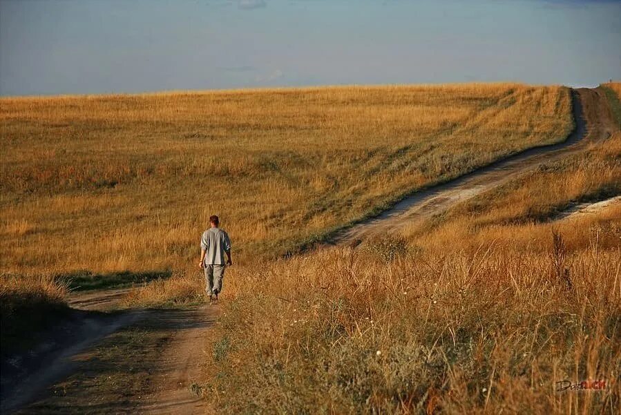 Сядешь в поле станешь. Степи и человек. путник на дороге. парень в степи. идёт в поле.