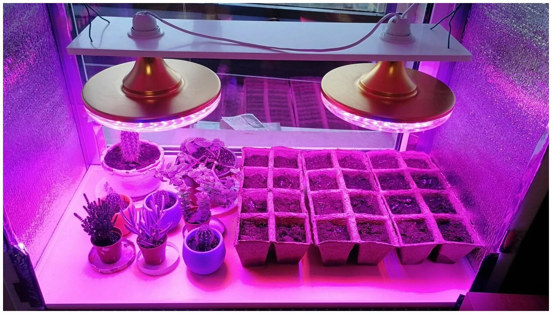 Светодиодная лента для досветки рассады. Светильник для рассады фитолампа 10 вт т5 эра. Какие фитолампы использовать. Фитолампа гелиос-21. Фитолампы для растений тдм.