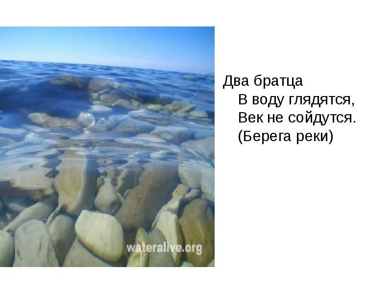 Два братца в воду глядятся в век не сойдутся. Два братца в воду. Загадка два братца в воду. Загадка 2 братца воду глядятся век не сойдутся.