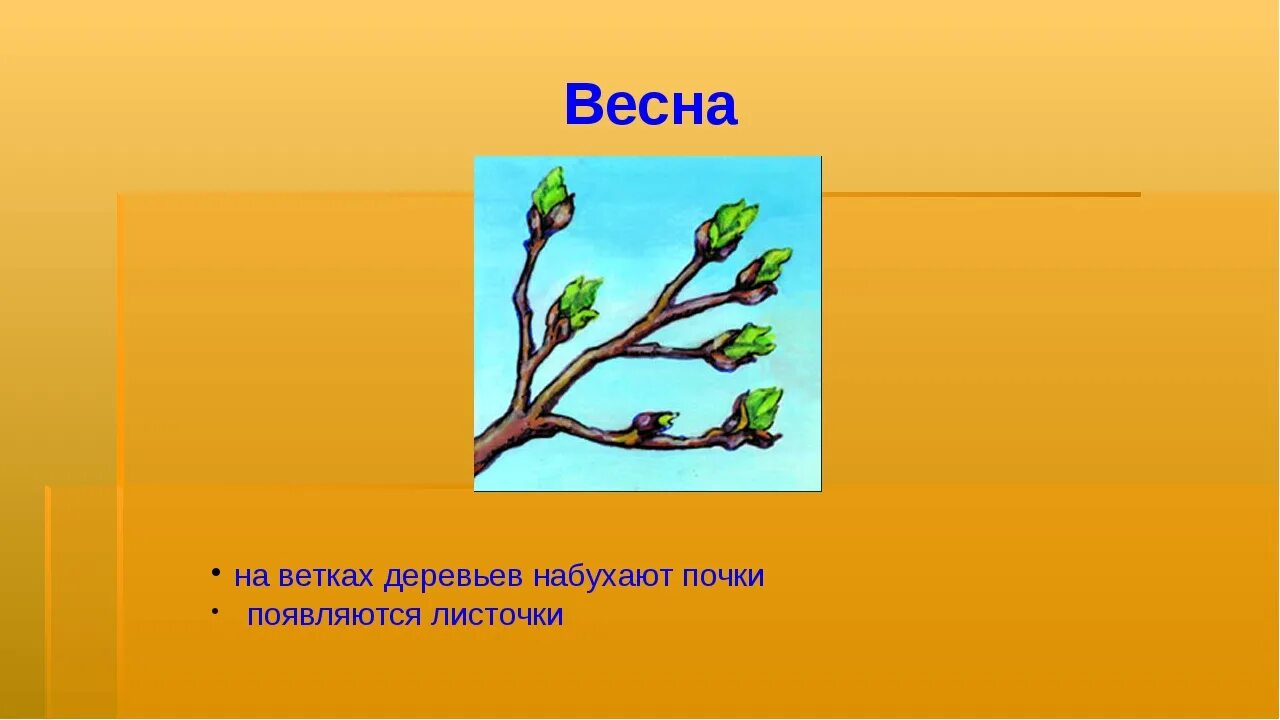 Составить слово ветка. Ветка с почками. Почки на деревьях для детей. Почки на деревьях весной. Иллюстрация - набухают почки на деревьях для детей.