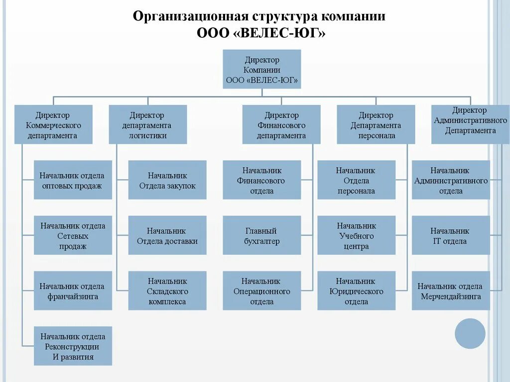 Организационная структура управления ООО «Велес». Структура отдела продаж схема оптовой компании. Организационная структура компании с Департаментом. Структура организации с отделами.