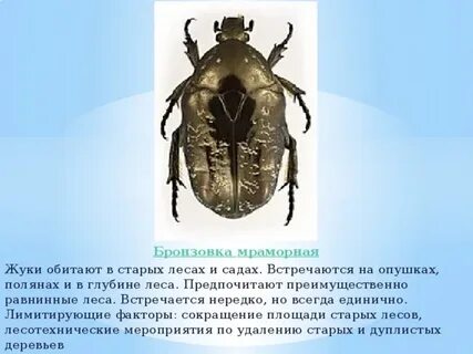 Одежда защиты насекомых