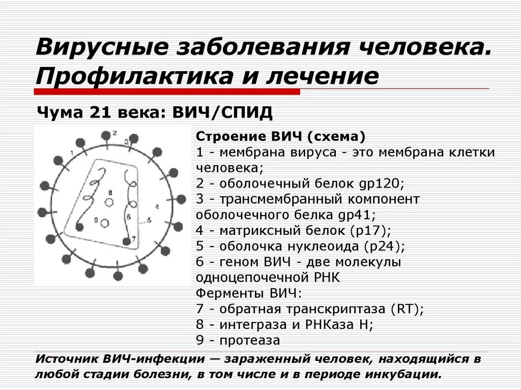 Вирусные заболевания. Вирусные заболевания человека и их профилактика. Вирусные заболевания примеры. Вирусные заболевания человека презентация. 3 вирусных заболеваний человека