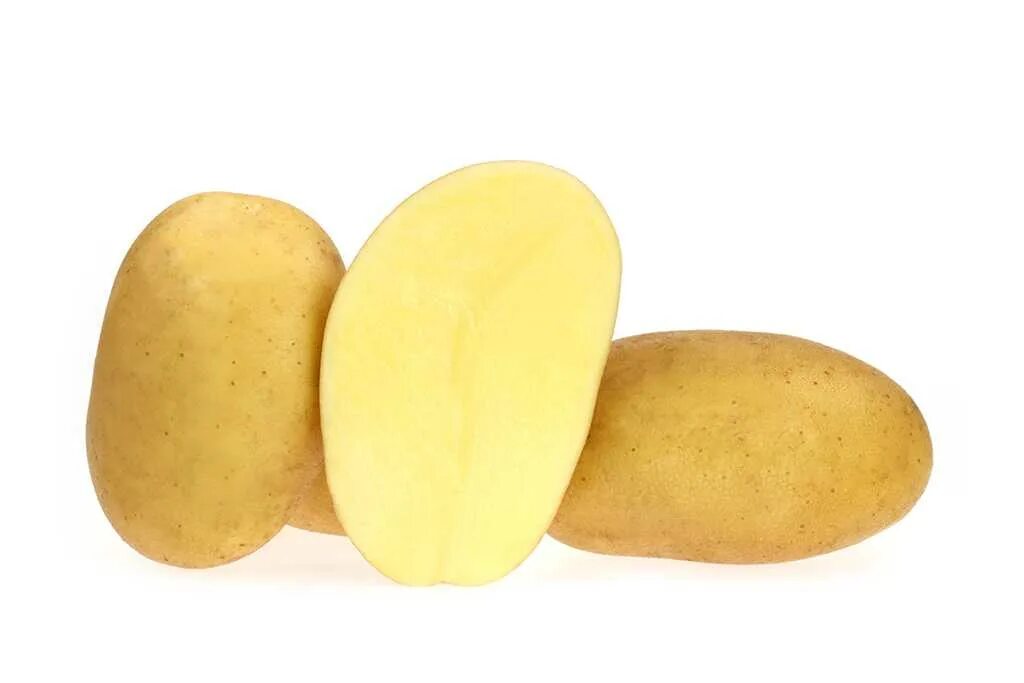 Картофель Коломбо. Картофель семенной суперранний Коломбо,. Картофель Джувел. Семена картофеля Коломбо.