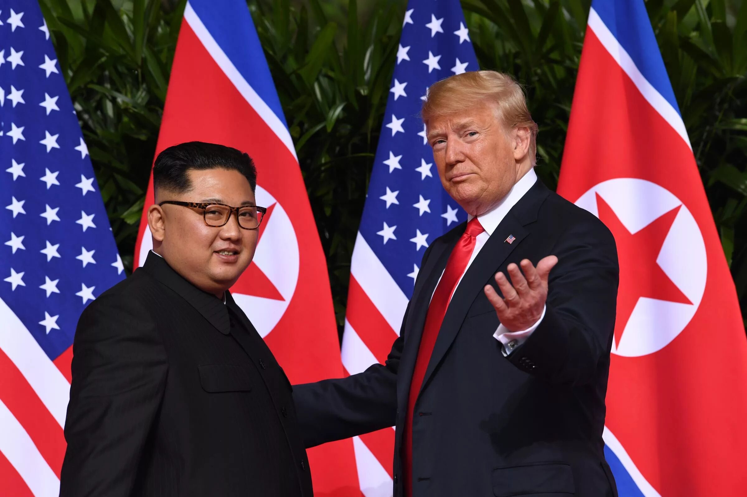 Трамп в кндр. Трамп в кндр