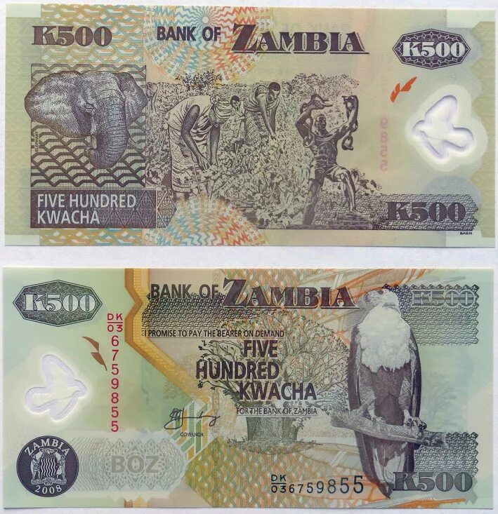 Денежная единица замбии. Валюта замбии. Деньги замбии. Деньги замбии. Квача замбия.