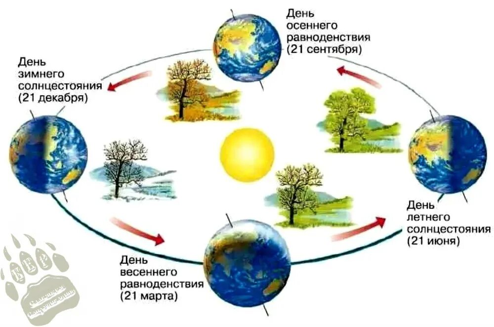 Смена времен года на земле (схема, пояснения).. Смена времен года схема земли и солнца. Смена времен года происходит от вращения земли вокруг. Смена времен года земля вращается вокруг солнца.